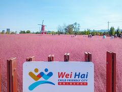 -羊亭河湿地公园