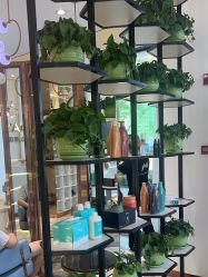 -MY WAY SALON