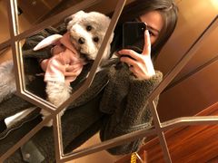 -PETKIT小佩宠物(古北店)