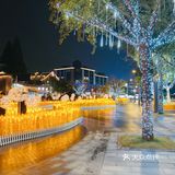 湖滨的麦子黄了!