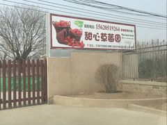-甜心庄园·甜心草莓采摘园(西青中北店)