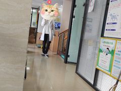 -瑞派天使宠物医院·神经外科·骨科·核磁(洛川中路店)