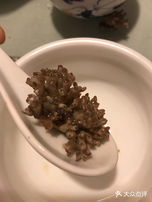 老古董餐厅(武夷山店)龙爪菇图片