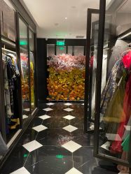 点击看大图 -鼎极摄影(世纪金源店)