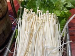 -沙胆彪炭炉牛杂煲(成都玉林店)