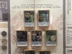 -北京中医药大学-中医药博物馆