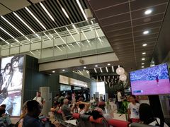 -西沃古尔·拉姆古兰爵士国际机场