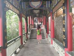 -兰山公园