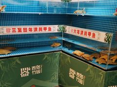 -西郊竹园甲鱼面(老一中店)