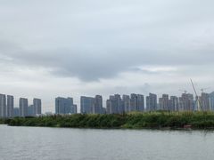 -三垟湿地