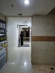 -藤野造型