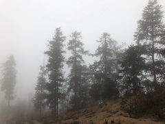 -横岗山森林公园