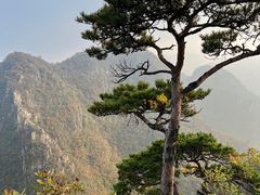 -大连天门山国家森林公园