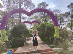 -松山湖梦幻百花洲