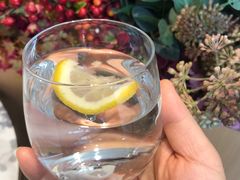 柠檬水-哈根达斯(国瑞店)