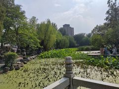 -莲湖公园
