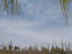 -洨河生态公园