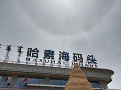 -哈素海