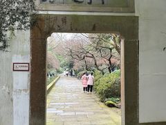 -岳王庙