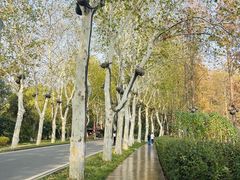 -东湖听涛景区