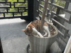 -日出青木·杭帮菜名店