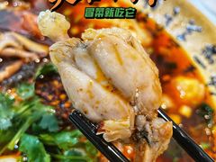 -芙蓉树下冒菜·麻辣烫(农院店)