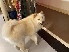 -肆兮眼镜·蔡司·徕卡战略合作店(大坪店)