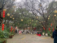 -天目湖山水园