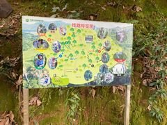 -天鹿湖森林公园