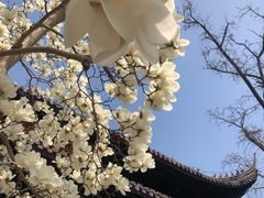 -灵谷景区