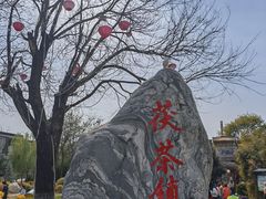 -茯茶镇