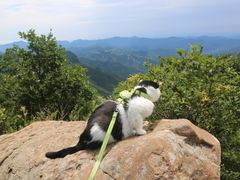 -白草畔自然风景区