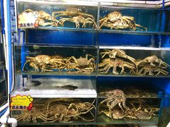 -蚝专家(北滘店)