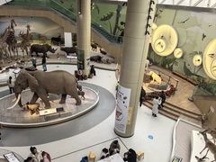 -陕西自然博物馆