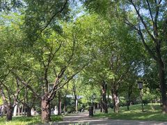 -唐城墙遗址公园