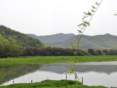 -山水一号·中餐厅