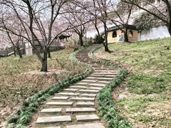 -苏州上方山国家森林公园