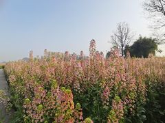 -中国天府农业博览园