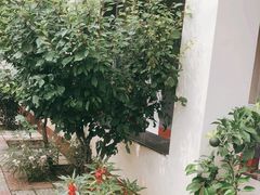 -遇见小院—虹鳟鱼•农家菜(怀柔店)
