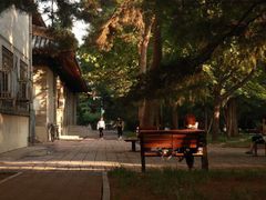 -中央民族大学