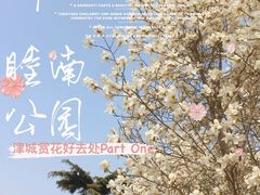 -睦南公园