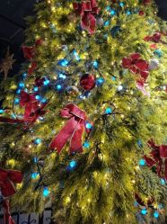 -幻贝家儿童乐园(苏州中心店)