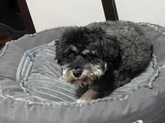 -联合动物医院(光谷诊疗中心)