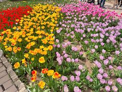 -石家庄市植物园