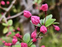 -外高桥保税区南(地铁站)