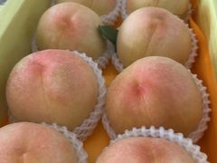 -南汇水蜜桃采摘(大团店)