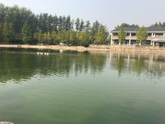 -中家鑫园温泉酒店鑫悦汤泉