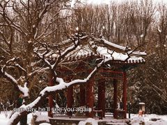 -月坛公园