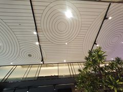-老板恋上鱼(环山路店)