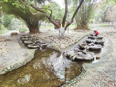 -成都市活水公园